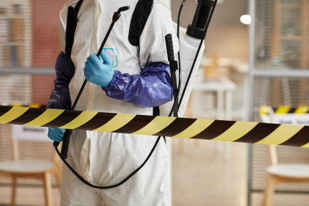 Professional Sewage Cleanup technician working in Montrose, PA